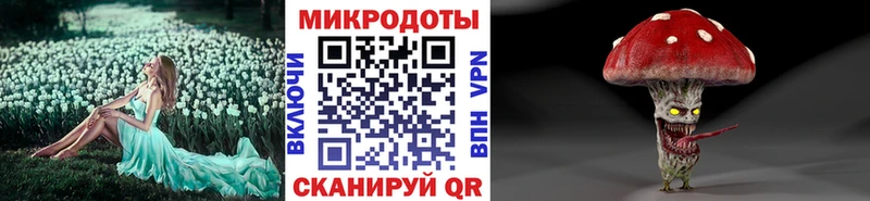 Псилоцибиновые грибы Cubensis как найти Киселёвск